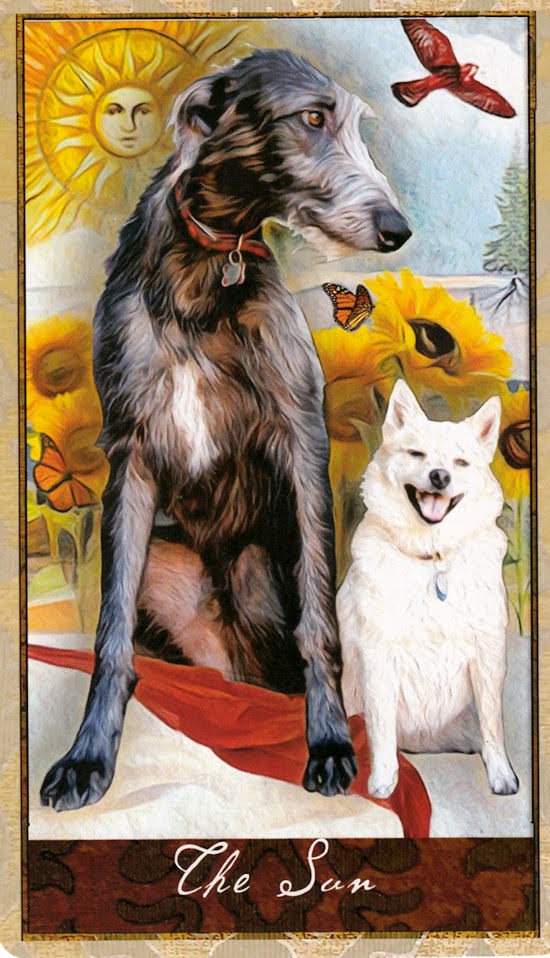 Wise Dog Tarot